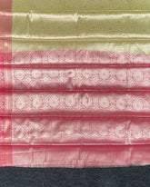 SC4811 - TISSUE WITH JAQUARD BODY AND CONTRAST BORDER